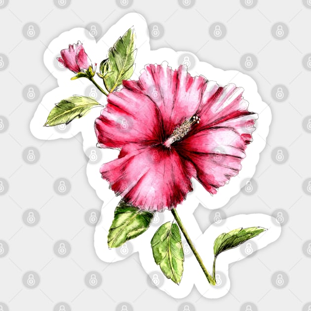 Hibiscus Flower Watercolor Painting Sticker by Ratna Arts